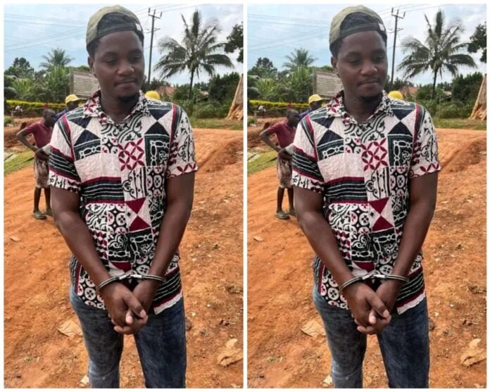 Polish_20240205_220950942