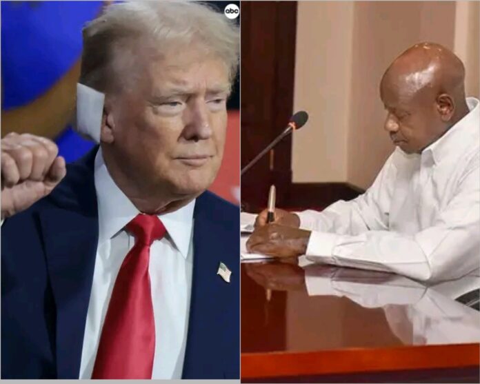 Polish_20240717_002448768