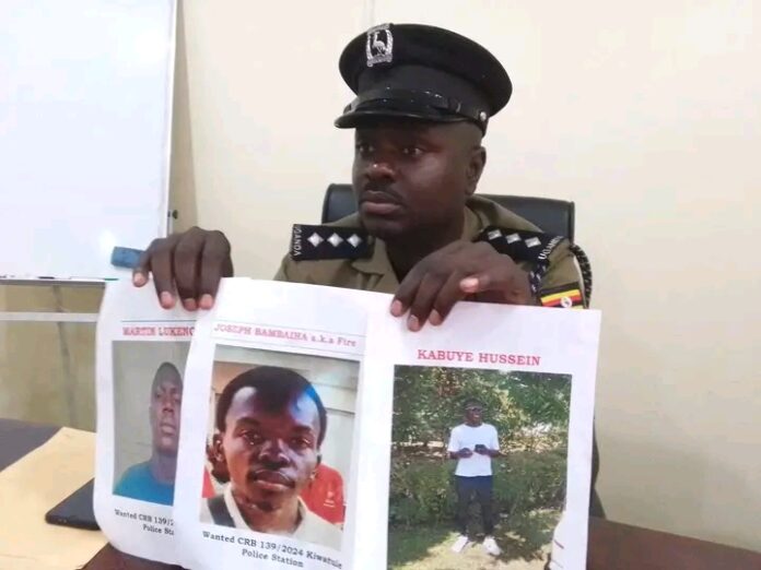 FB_IMG_17347495041136980