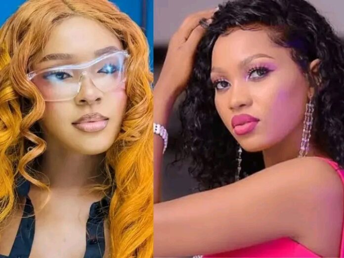 FB_IMG_17422807695190962