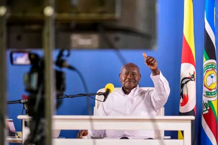 FB_IMG_17436845802040548