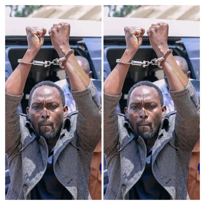 Polish_20250910_142814062