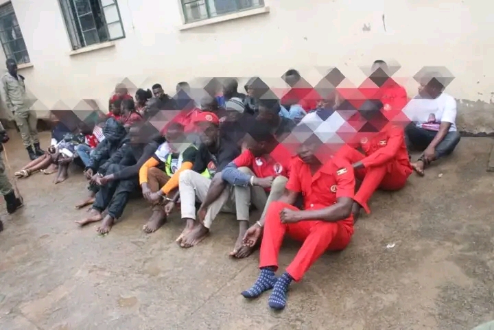 FB IMG 17597684183965515