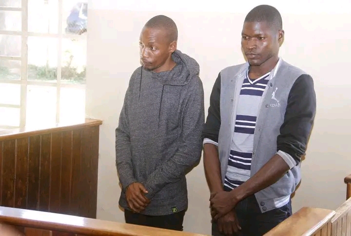 FB IMG 17617291971314836