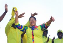 Speaker Anita Among Survives Tragic Road Accident in Mukono