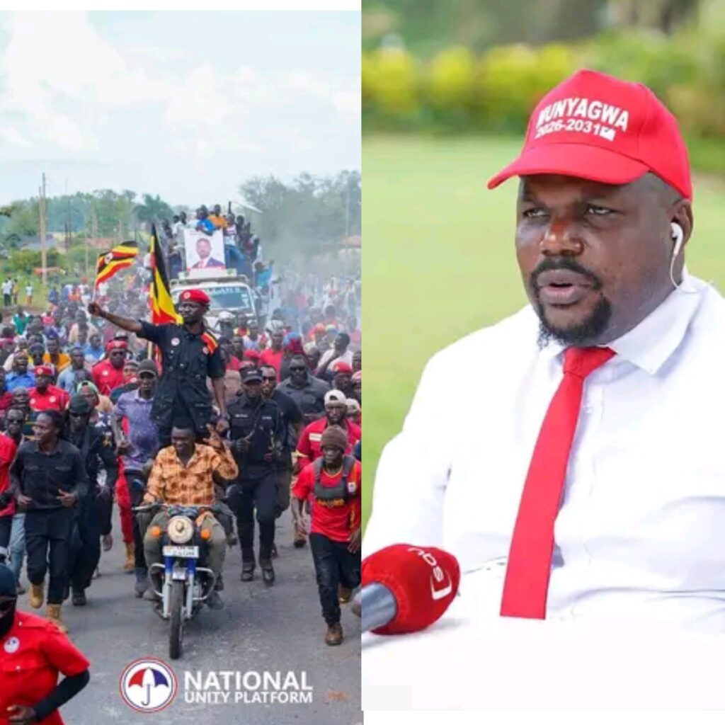 Polish 20251028 144445866