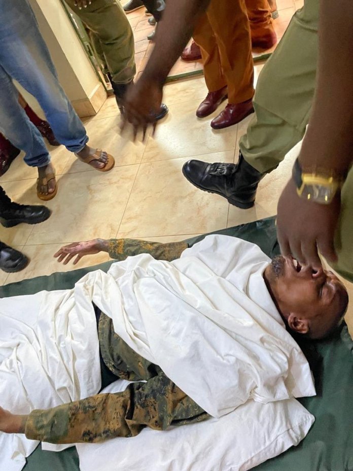 20251117 1330511 696x928 1