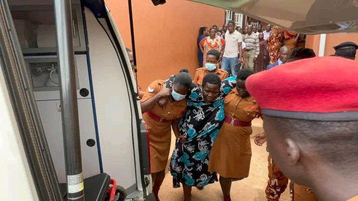 FB IMG 17634960837719584