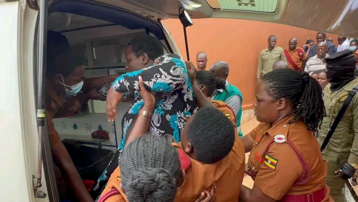 FB IMG 17634960884242197