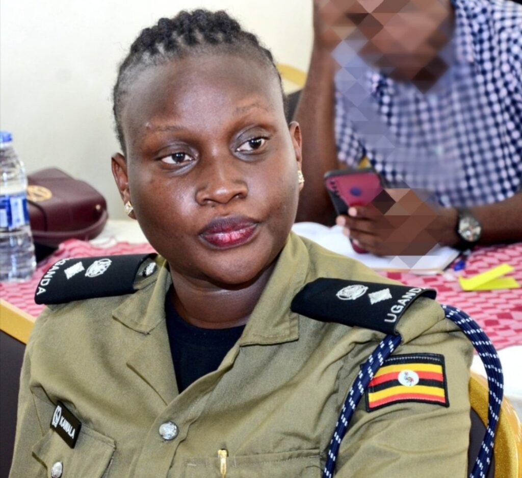 Polish 20251108 073000200