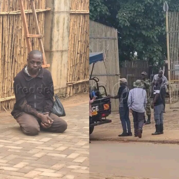 Polish_20251108_112417809