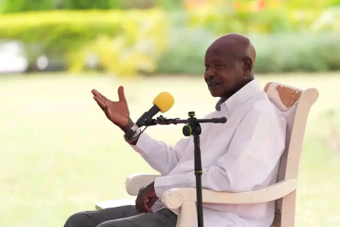 FB_IMG_17645768910705479