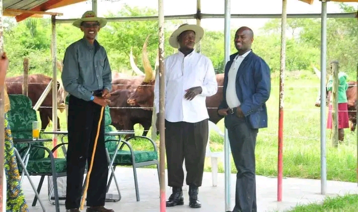 FB IMG 17648322696979811