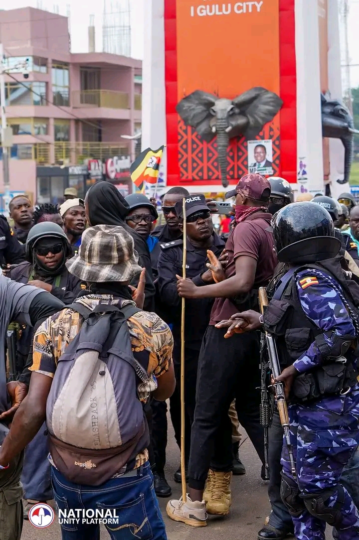 FB IMG 17650447935032438