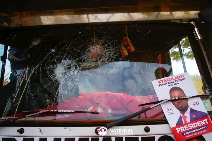 FB IMG 17650448069436778