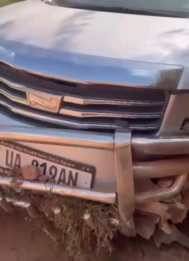 FB IMG 17652201577936531