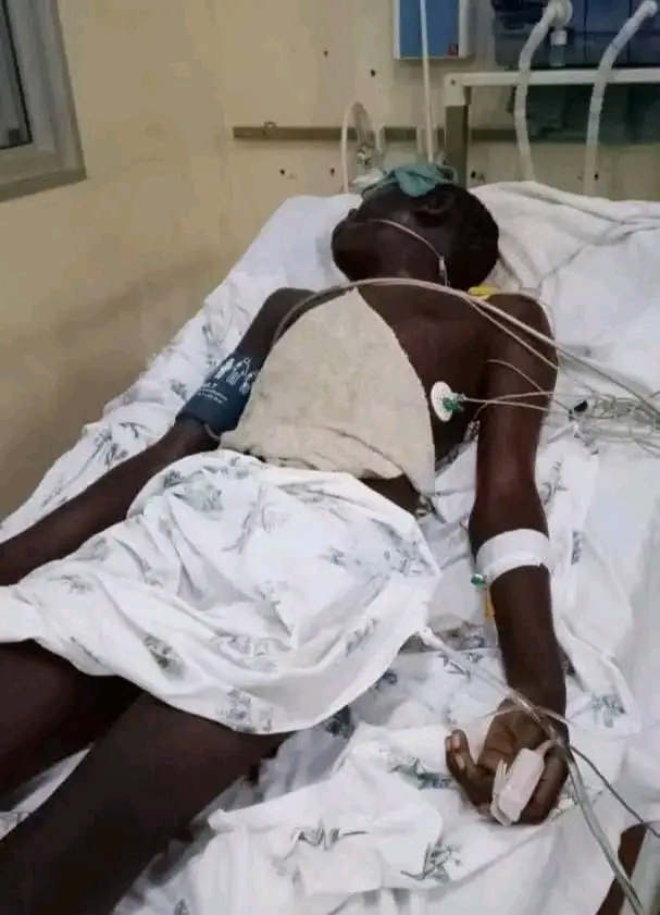 FB IMG 17653392941852992