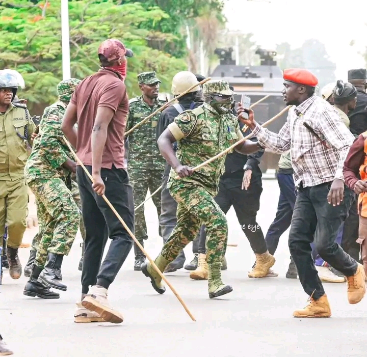 FB IMG 17653393142955662