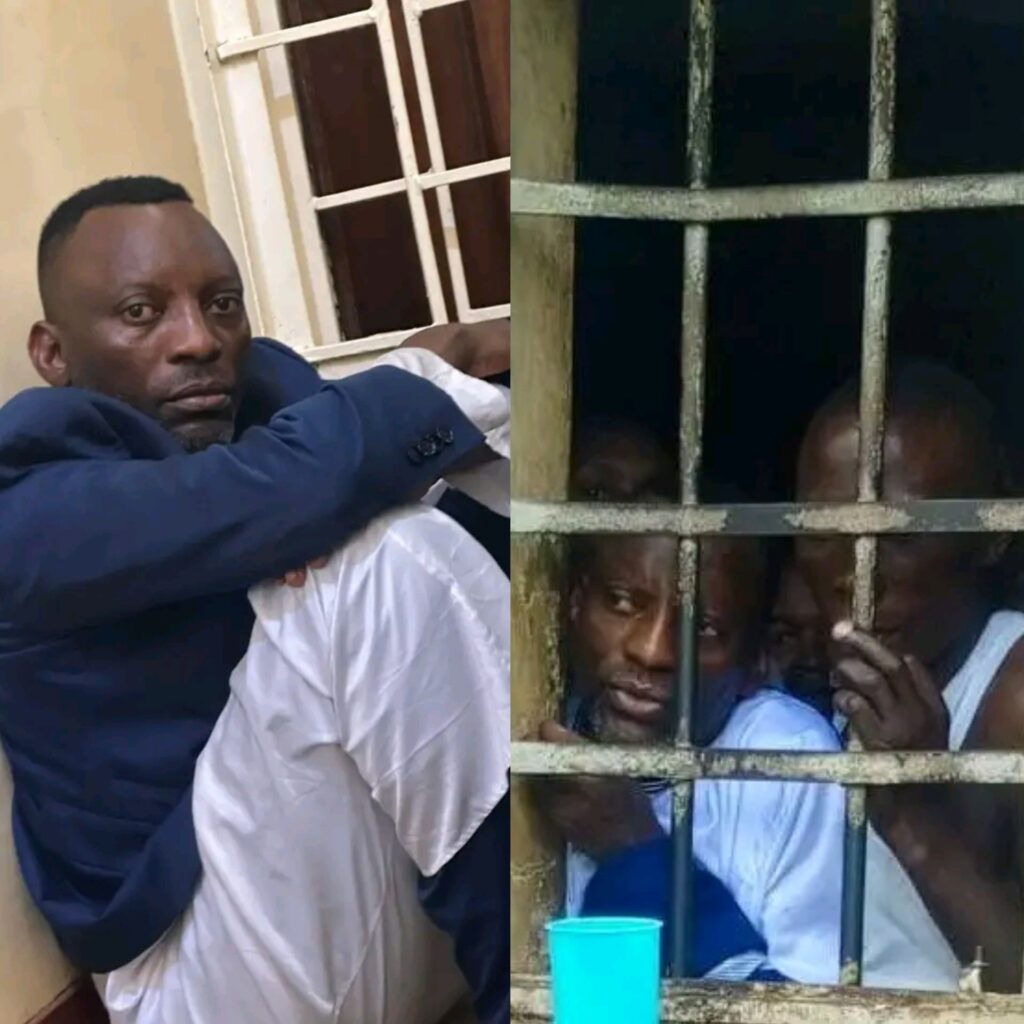 Polish 20251218 092823732