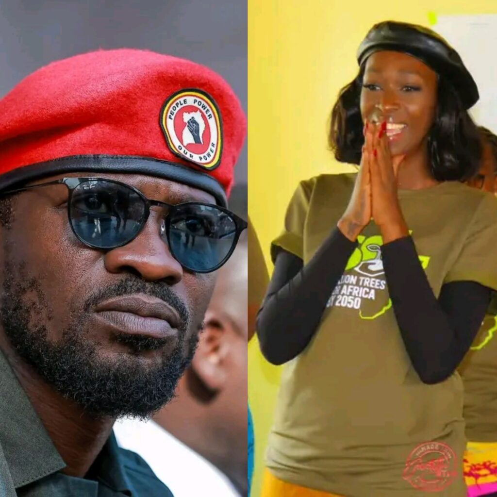 Polish 20251224 081054133