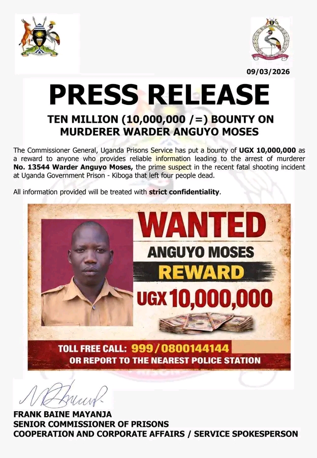 FB IMG 17747832889433662