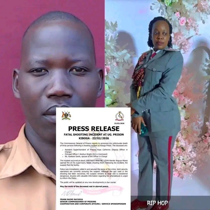 FB IMG 17747833569708336